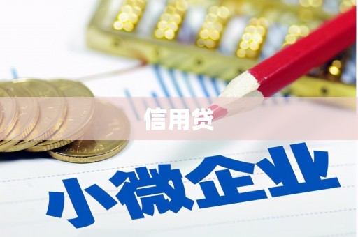 贵定信用贷