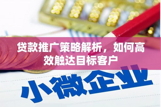 贵定贷款推广策略解析，如何高效触达目标客户