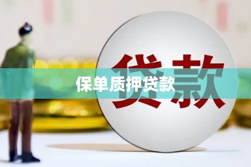 贵定保单质押贷款