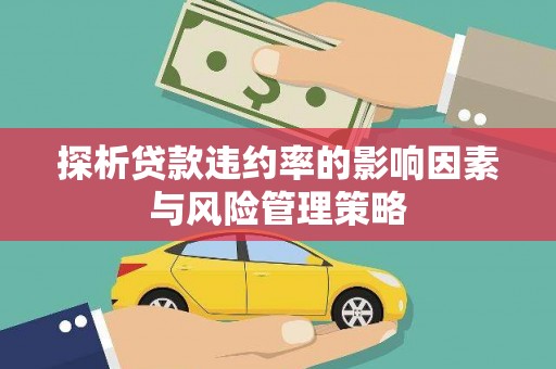 贵定探析贷款违约率的影响因素与风险管理策略