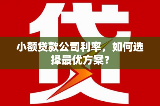 贵定小额贷款公司利率，如何选择最优方案？