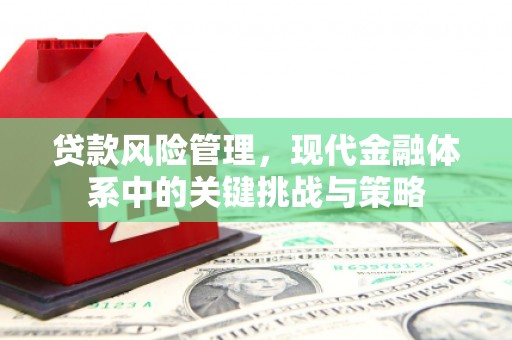 贵定贷款风险管理，现代金融体系中的关键挑战与策略