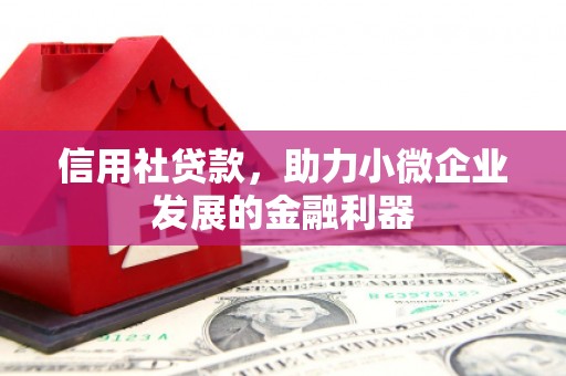 贵定信用社贷款，助力小微企业发展的金融利器