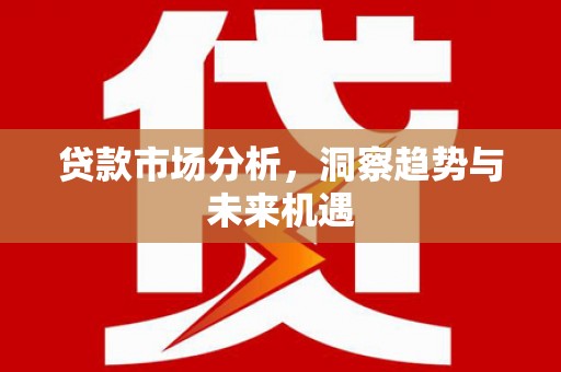 贵定贷款市场分析，洞察趋势与未来机遇