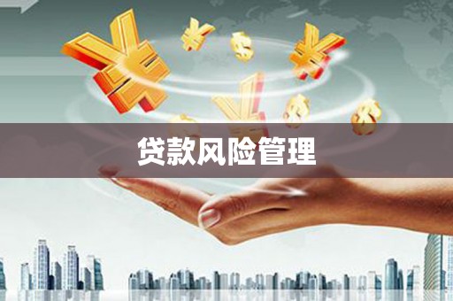 贵定贷款风险管理