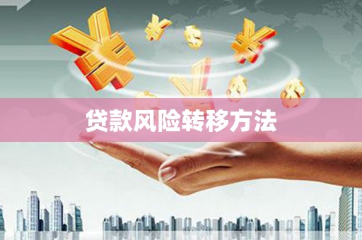 贵定贷款风险转移方法