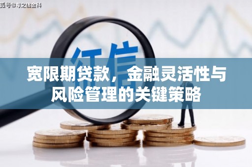 贵定宽限期贷款，金融灵活性与风险管理的关键策略