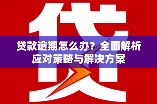 贵定贷款逾期怎么办？全面解析应对策略与解决方案