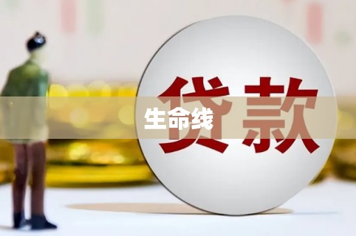 贵定生命线
