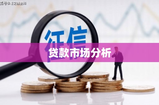 贵定贷款市场分析