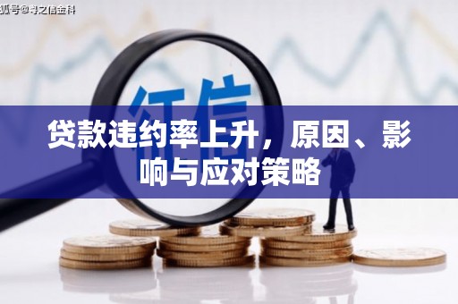 贵定贷款违约率上升，原因、影响与应对策略