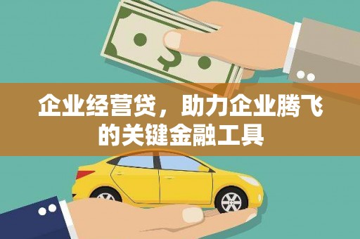 贵定企业经营贷，助力企业腾飞的关键金融工具