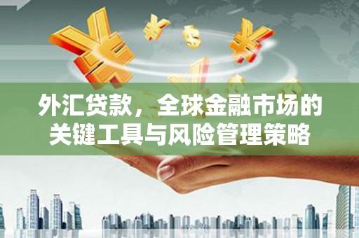 贵定外汇贷款，全球金融市场的关键工具与风险管理策略