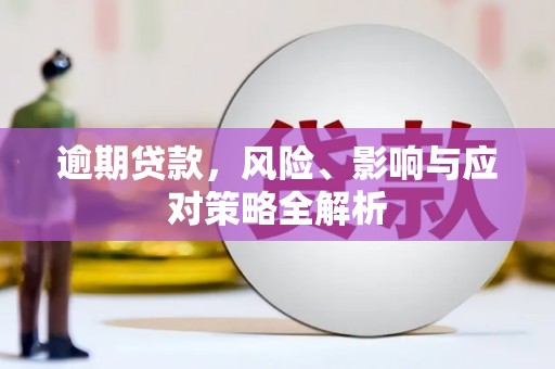贵定逾期贷款，风险、影响与应对策略全解析