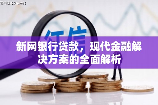 贵定新网银行贷款，现代金融解决方案的全面解析