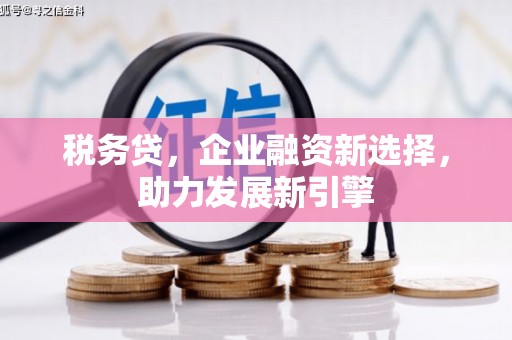 贵定税务贷，企业融资新选择，助力发展新引擎