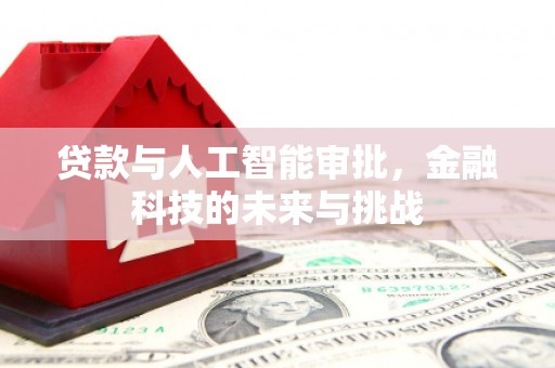 贵定贷款与人工智能审批，金融科技的未来与挑战