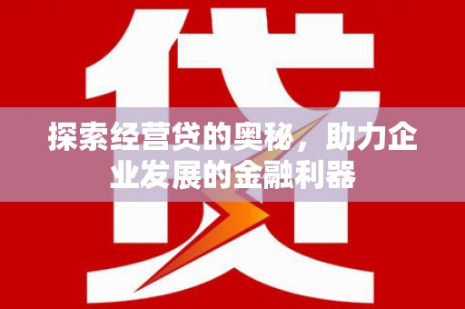 贵定探索经营贷的奥秘，助力企业发展的金融利器