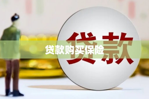 贵定贷款购买保险