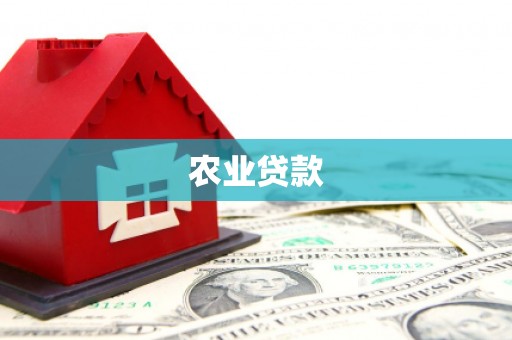 贵定农业贷款