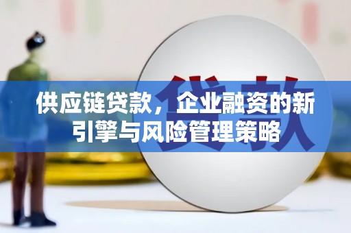 贵定供应链贷款，企业融资的新引擎与风险管理策略