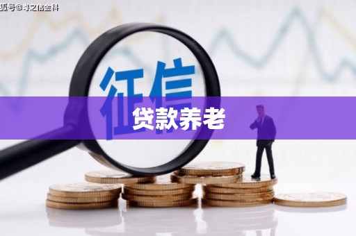 贵定贷款养老