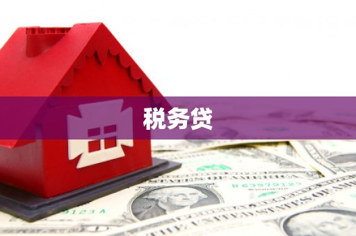 贵定税务贷