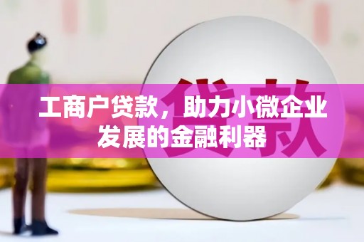 贵定工商户贷款，助力小微企业发展的金融利器