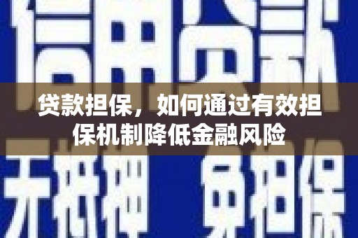 贵定贷款担保，如何通过有效担保机制降低金融风险