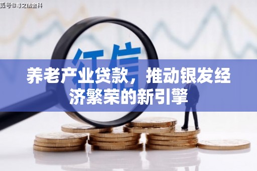 贵定养老产业贷款，推动银发经济繁荣的新引擎