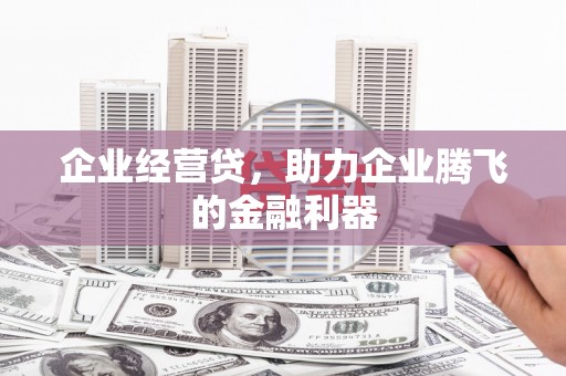 贵定企业经营贷，助力企业腾飞的金融利器