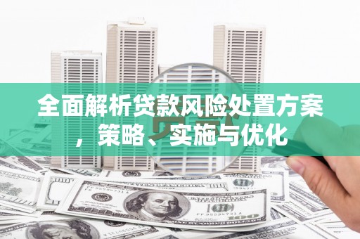 贵定全面解析贷款风险处置方案，策略、实施与优化