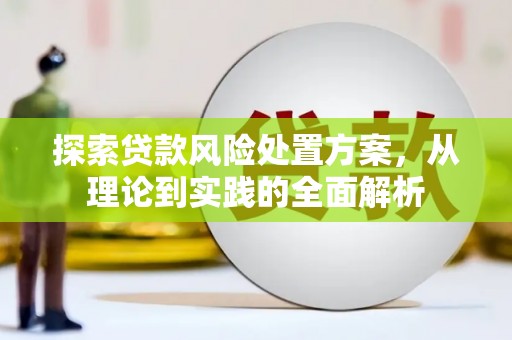 贵定探索贷款风险处置方案，从理论到实践的全面解析