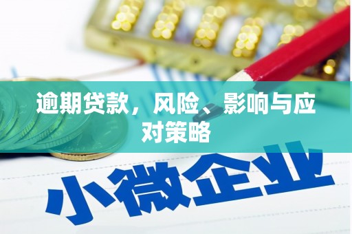 贵定逾期贷款，风险、影响与应对策略