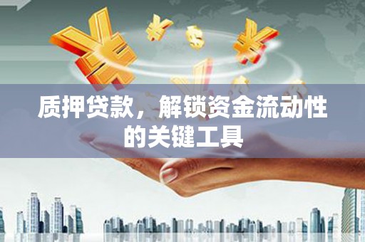 贵定质押贷款，解锁资金流动性的关键工具