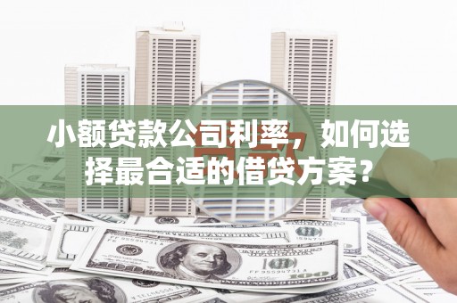 贵定小额贷款公司利率，如何选择最合适的借贷方案？