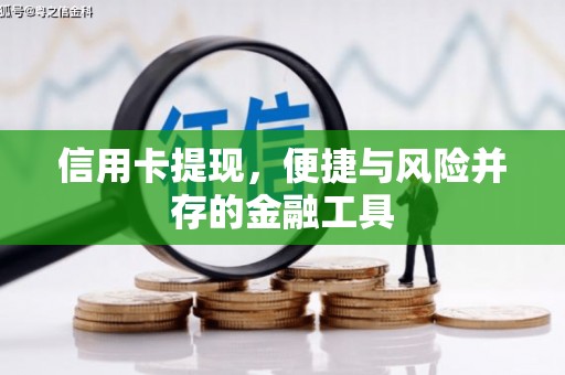 贵定信用卡提现，便捷与风险并存的金融工具