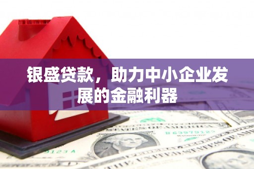 贵定银盛贷款，助力中小企业发展的金融利器