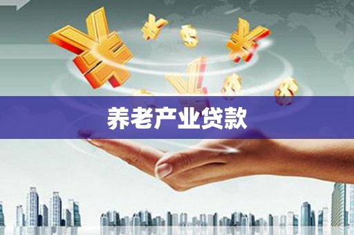 贵定养老产业贷款