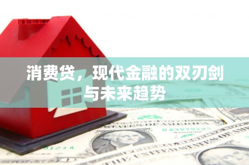 贵定消费贷，现代金融的双刃剑与未来趋势