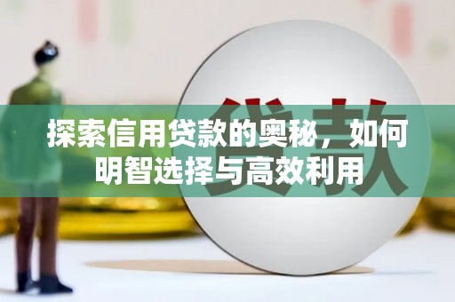 贵定探索信用贷款的奥秘，如何明智选择与高效利用