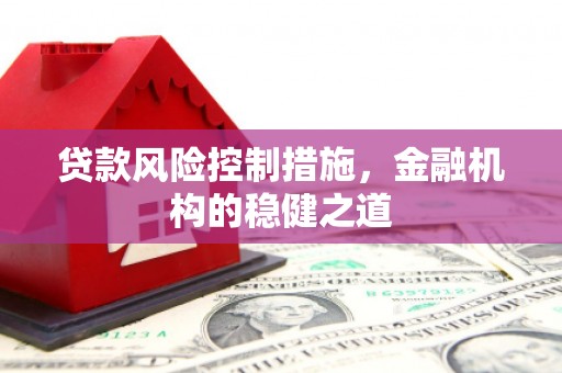 贵定贷款风险控制措施，金融机构的稳健之道