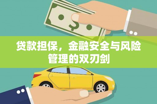 贵定贷款担保，金融安全与风险管理的双刃剑