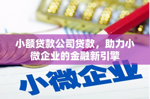 贵定小额贷款公司贷款，助力小微企业的金融新引擎