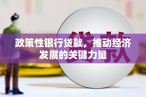 贵定政策性银行贷款，推动经济发展的关键力量