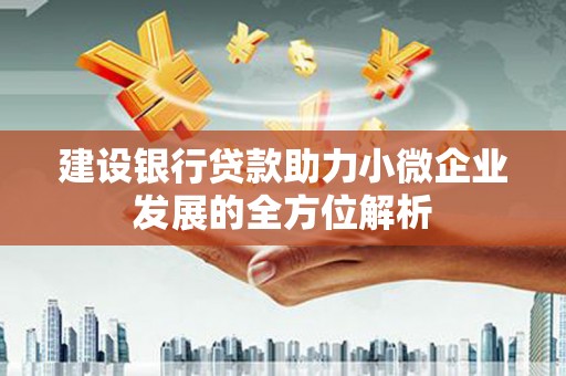 贵定建设银行贷款助力小微企业发展的全方位解析