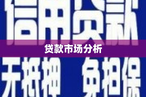 贵定贷款市场分析