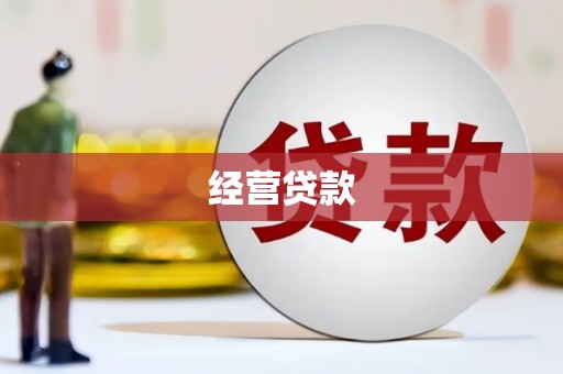 贵定经营贷款
