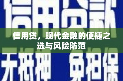 贵定信用贷，现代金融的便捷之选与风险防范