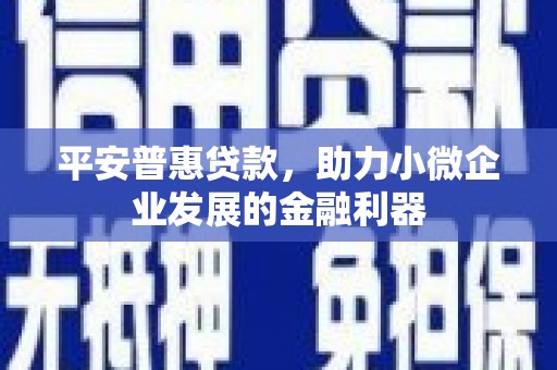 贵定平安普惠贷款，助力小微企业发展的金融利器